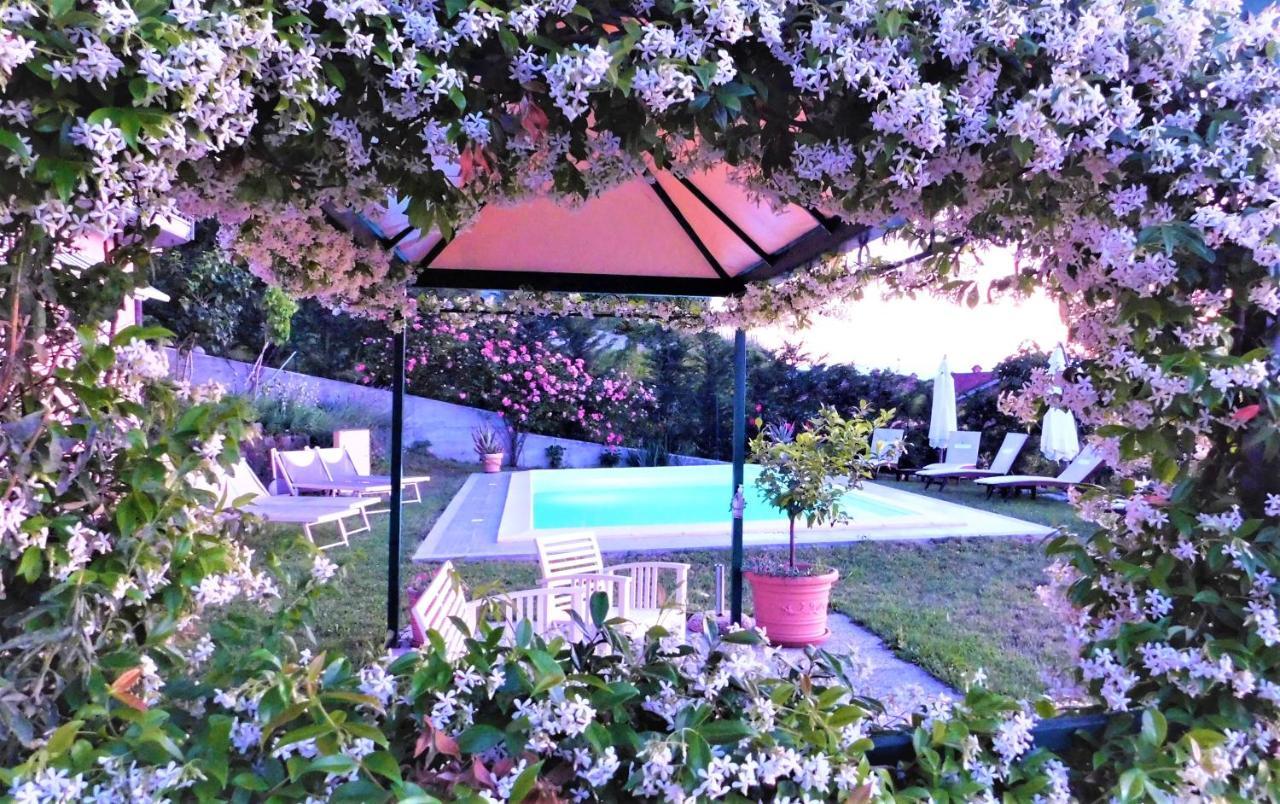 Domus Langhe B&B Treiso Exterior foto